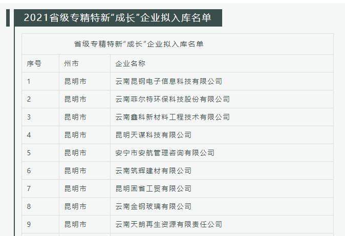 云南筑辉建材有限公司专精特新称号